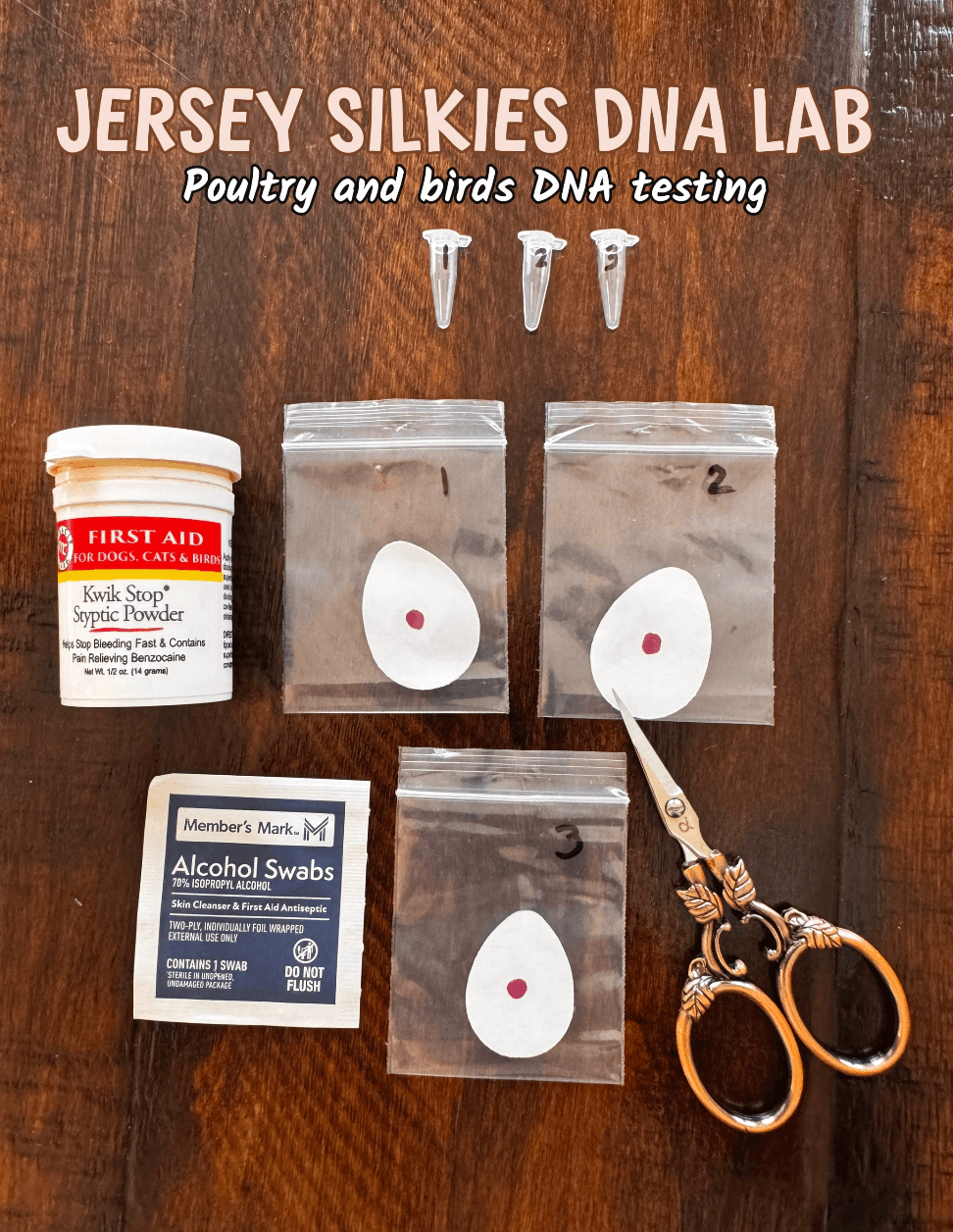 Labeled coffee filter samples, tubes, and collection supplies for Jersey Silkies DNA testing
